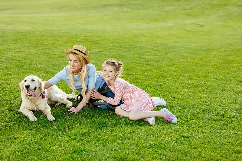 lady-on-grass-with-dog