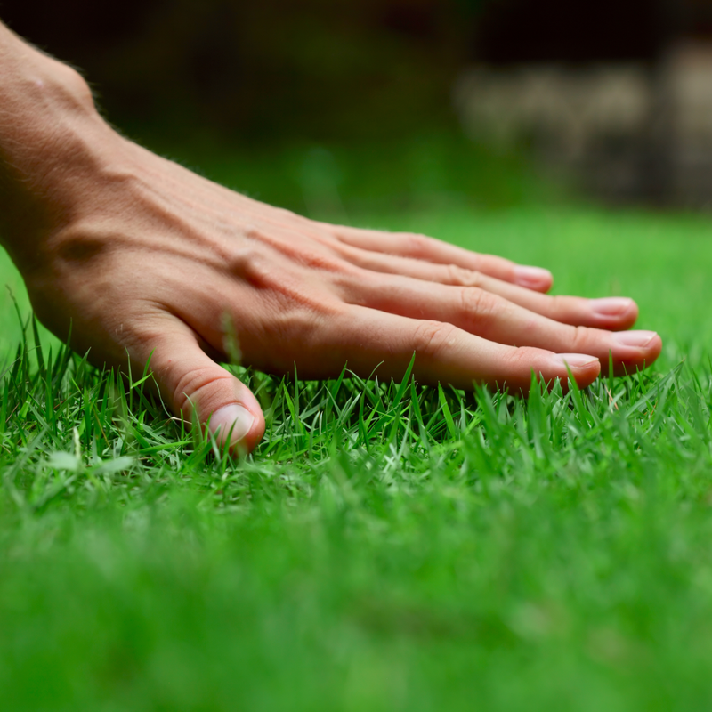 hand on grass